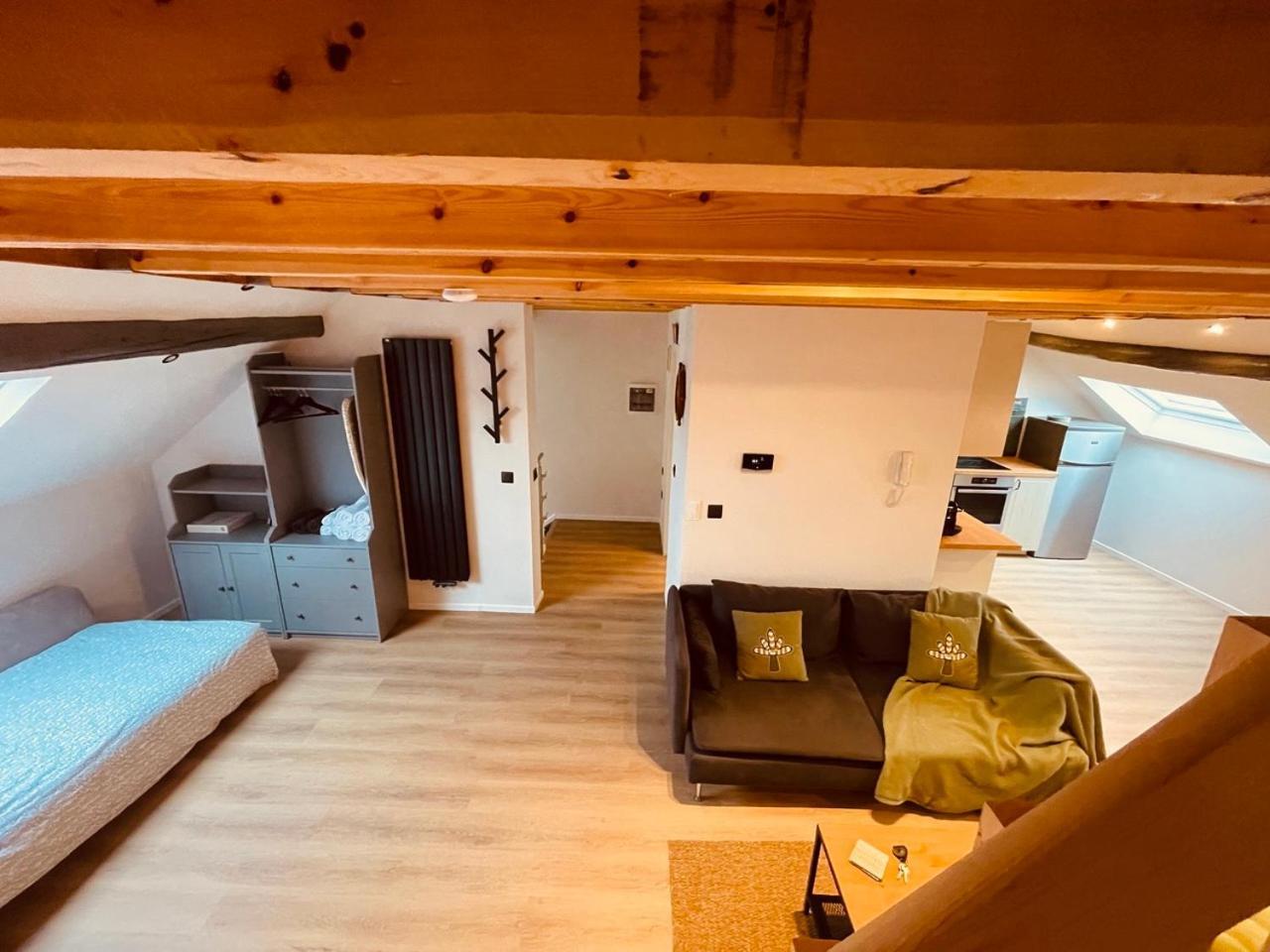Camus Flats Lägenhet Bryssel Exteriör bild